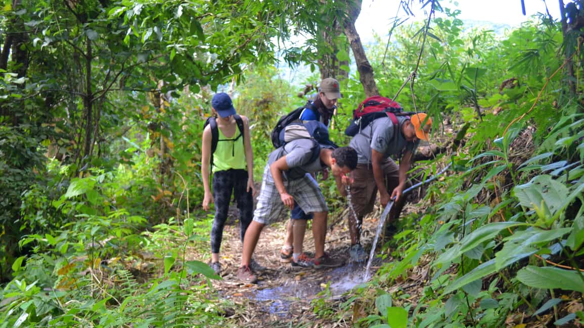 image n.15 of From Chiang Mai: High Mountain Day Trek activity in Chiang Mai Province, uploaded by supplier