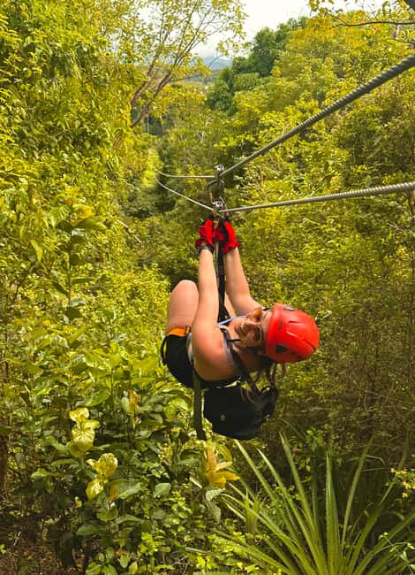 Obraz nr 22 z atrakcji San Juan: Ecoadventure Ziplining w pobliżu miasta w San Juan, przesłany przez organizatora