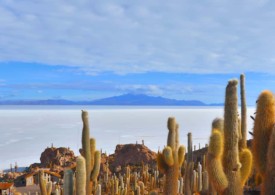 image n.3 of Uyuni: Salt Flats and Sunset Guided Tour with Lunch activity in Uyuni Salt Flat, uploaded by supplier