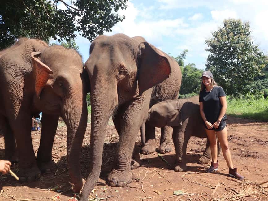 image n.3 of Chiang Mai: Elephant Sanctuary & Waterfall Group Tour activity in Chiang Mai, uploaded by supplier