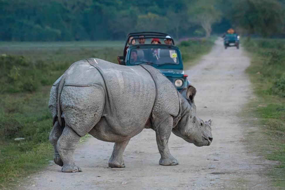 image n.24 of From Kathmandu/Pokhara: 3 Day All-Inclusive Chitwan Safari activity in Pashchimanchal, Western Region, uploaded by supplier
