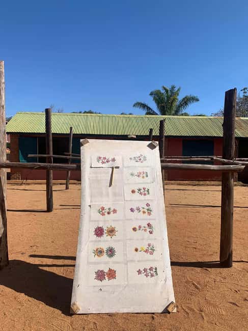 Bild Nr. 12 von 5 Tage wilde Flucht: Ranomafana Abenteuer von Antananarivo aus Aktivität in Haute Matsiatra, hochgeladen vom Anbieter