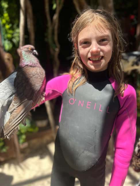 Image N°12 de Nassau : Plongée en apnée dans les récifs, tortues, déjeuner et club de plage privé activité à Bahamas, publiée par le prestataire