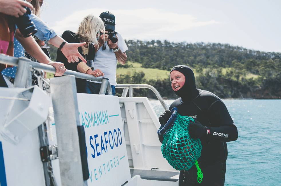 image n.3 of Hobart: Ultimate Seafood Cruise on a Spacious Catamaran activity in Hobart, uploaded by supplier