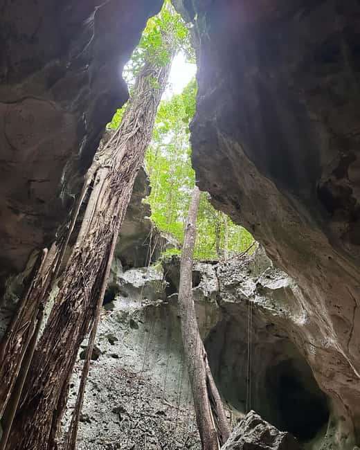 imagem n.17 de Excursão e transporte para as cavernas Green Grotto atividade em Clarendon, carregada pelo fornecedor