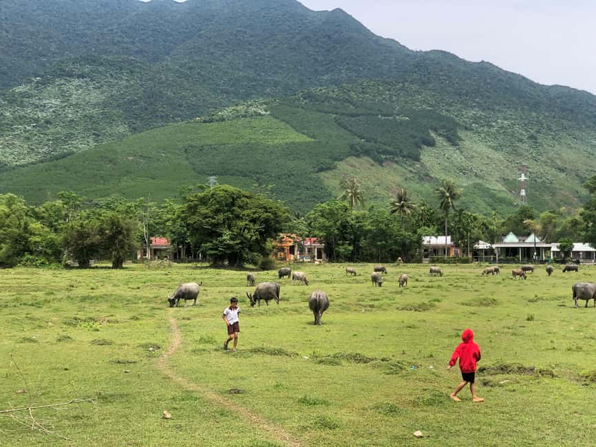 image n.12 of From Hue/Da Nang/Hoi An: Hai Van Pass Tour by Motorbike activity in Da Nang, uploaded by supplier