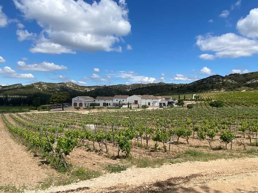 imagem n.4 de Visita privada aos Alpilles, degustações e restaurante bistronómico atividade em Les Baux-de-Provence, carregada pelo fornecedor