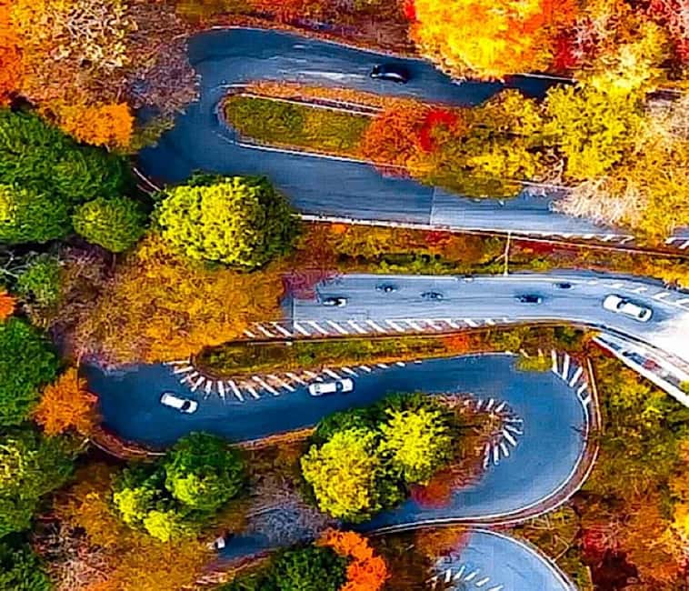 Immagine nº 7 di Da Tokyo: Tour panoramico privato di Nikko di una giornata intera attività a Nikkō, caricata dal fornitore