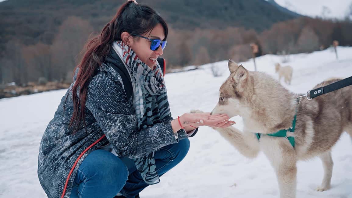 image n.7 of Ushuaia: Snowmobile+Rockets+Huskies+Skiing+Lunch or Pizza Rodizio activity in Ushuaia, uploaded by supplier