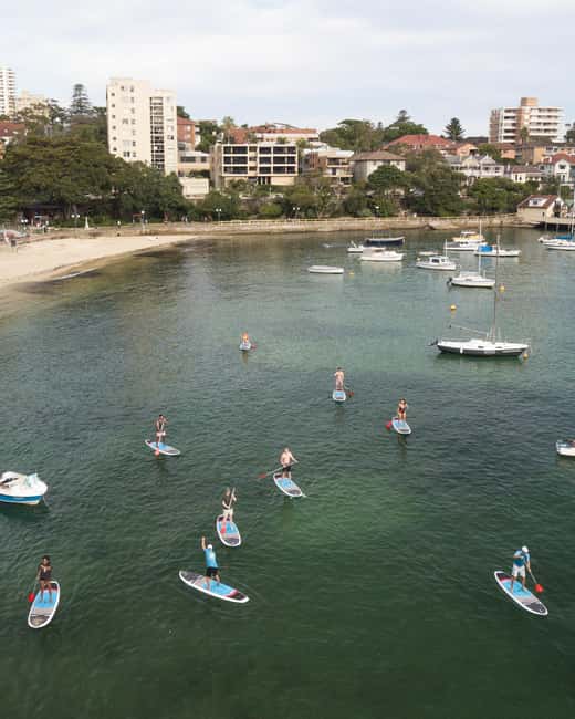 image n.7 of Manly Stand Up Paddle Board Hire activity in Sydney, uploaded by supplier
