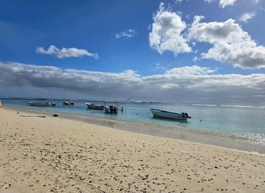 image n.16 of Black River: Swim with Dolphin Speed Boat Tour with lunch activity in Mauritius, uploaded by supplier