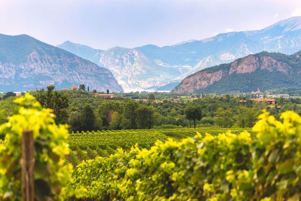 Obraz nr 5 z atrakcji Z Mediolanu: Wycieczka winiarska nad jezioro Iseo, Bergamo i Franciacorta w Lombardia, przesłany przez organizatora