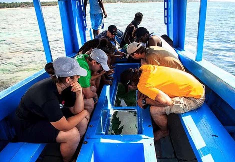 image n.10 of WATAMU,Snorkeling/dolphin spotting,seafood,mida creek cruise activity in Coast Province, uploaded by supplier