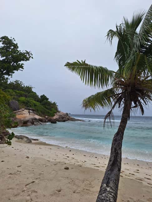 image n.29 of Praslin: Sister & Coco Island Full-Day Cruise and Creole BBQ activity in Mahé, uploaded by supplier