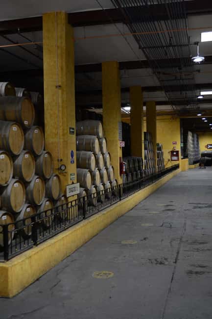 image n.9 of From Guadalajara: Town of Tequila & Jose Cuervo Factory Tour activity in Tequila, uploaded by supplier