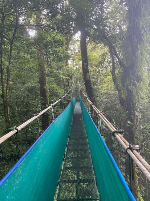 Immagine nº 15 di Guanacaste: gita di un giorno alla foresta pluviale, ai bradipi e alla natura con pranzo attività a Alajuela, caricata dal fornitore