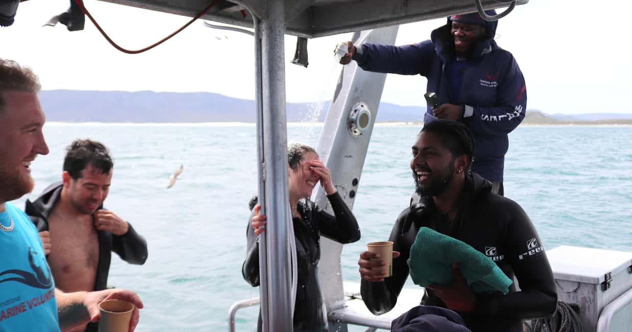 image n.8 of Cape Town: Gansbaai Eco-Friendly Shark Cage Diving Cruise activity in Cape Town, uploaded by supplier