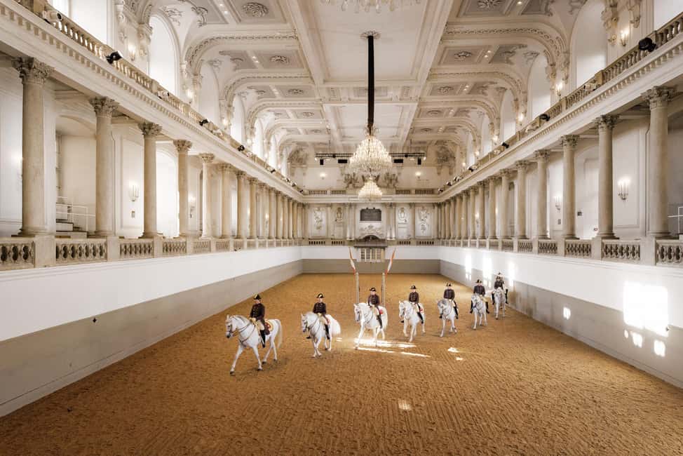 image n.7 of Performance Of The Lipizzans At Spanish Riding School activity in Vienna, uploaded by supplier