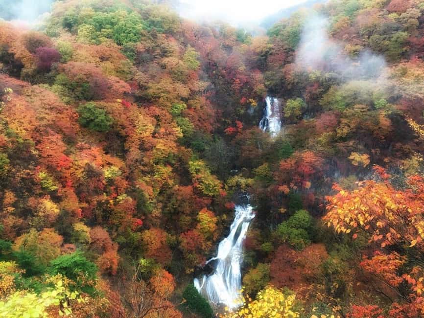 Immagine nº 9 di I maestosi paesaggi di Nikko: Tour privato guidato attività a Nikkō, caricata dal fornitore