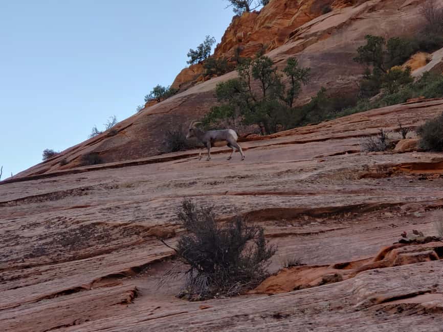 image n.23 of Small Group Tour Zion & Bryce Canyon National from Las Vegas activity in Utah, uploaded by supplier