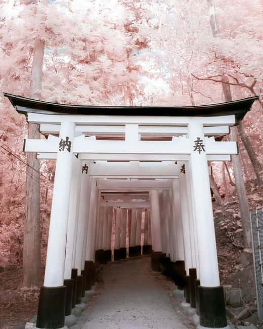 obrázek č.5 aktivity Kyoto/Osaka/Nara: Prohlídka na míru s anglicky mluvícím průvodcem v destinaci Kjóto, nahraný poskytovatelem aktivity