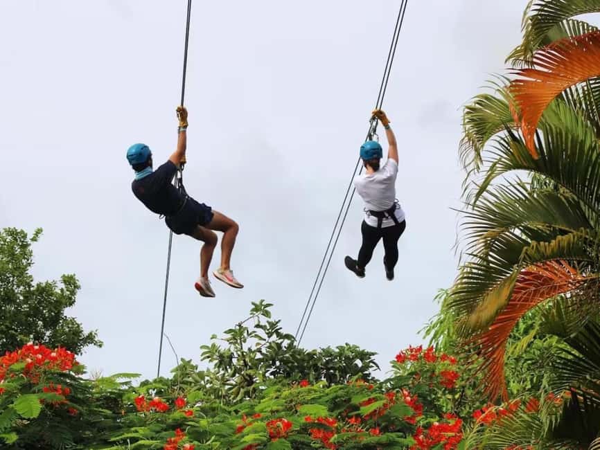 billede nr.2 af aktiviteten Río Grande: Zipline-oplevelse i regnskoven i Río Grande, Puerto Rico, uploadet af udbyder