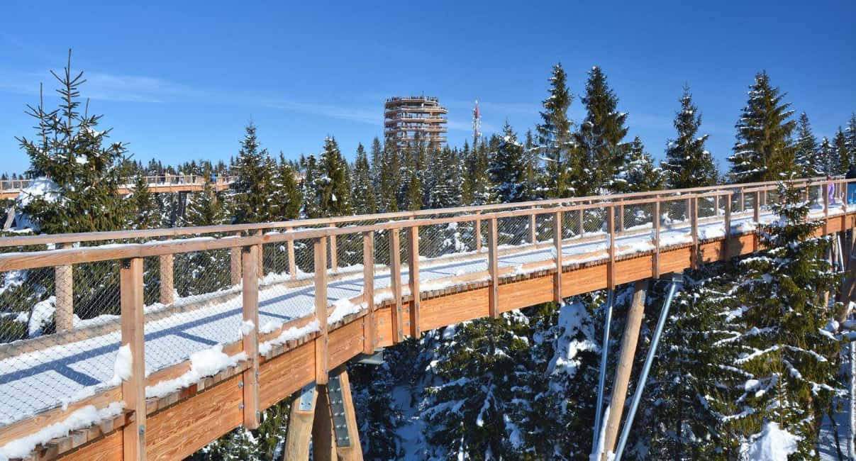 imagem n.5 de Zakopane: Caminhada na copa das árvores de Bachledka e excursão a Strbske Pleso atividade em Krościenko nad Dunajcem, carregada pelo fornecedor
