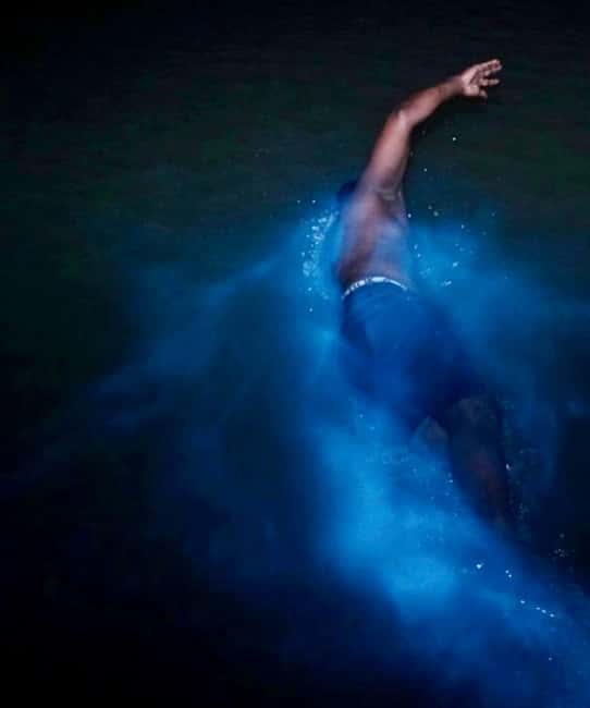 imagem n.1 de Falmouth: Experiência noturna na Lagoa Luminosa atividade em Falmouth, carregada pelo fornecedor
