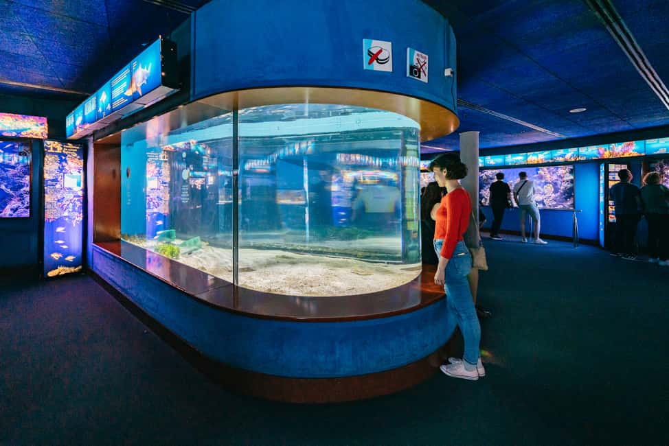 image n.6 of Barcelona: Hop-On Hop-Off Bus & Aquarium Tour activity in Barcelona, uploaded by supplier