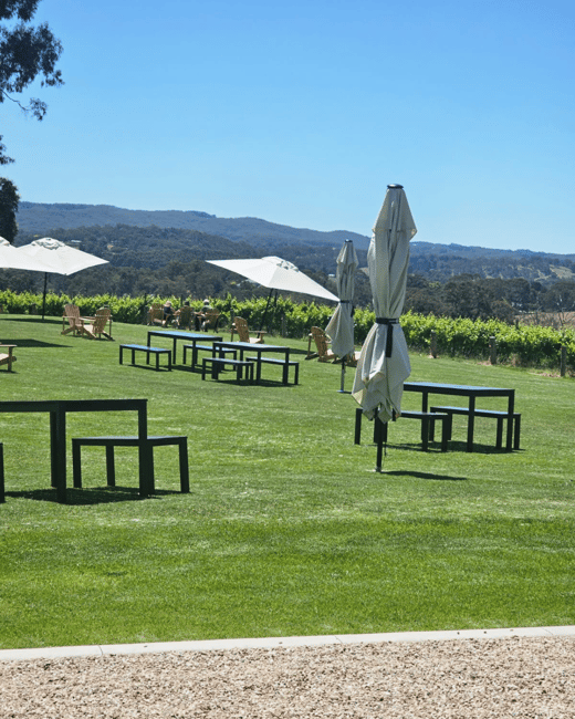 imagen n.º 24 de Desde Adelaida: Hahndorf y Valle de Barossa con almuerzo en bodega actividad en Nuriootpa, subida por el proveedor