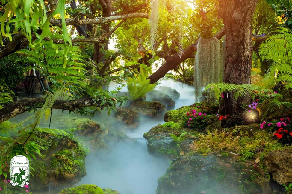 image n.26 of Chiangmai to Chiangrai: 3 Temples, Hot Springs& Lalitta Cafe activity in Chiang Rai, uploaded by supplier