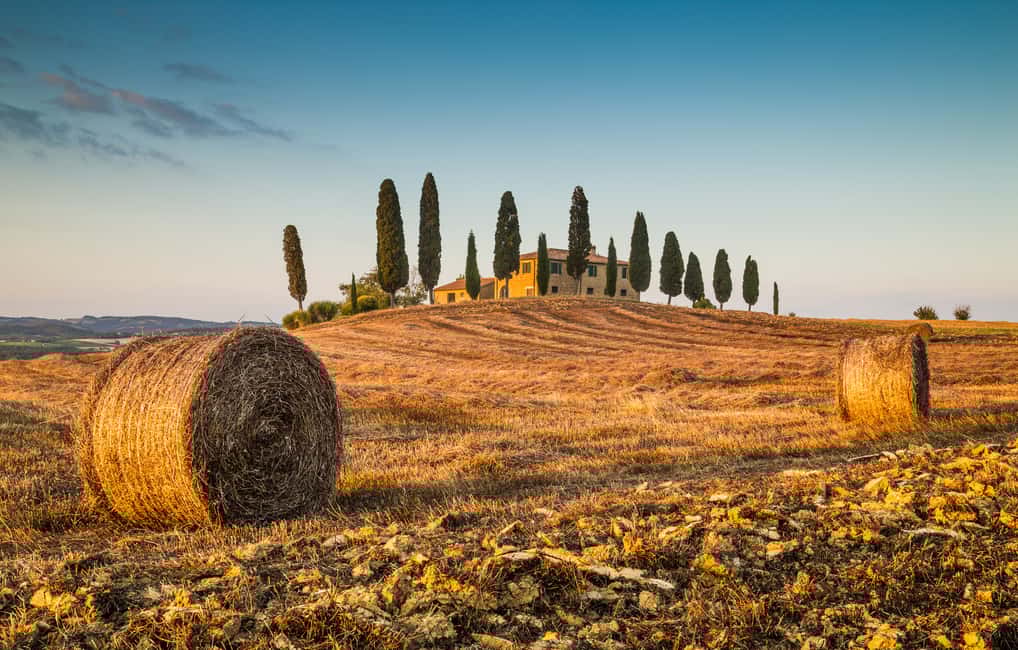 Immagine nº 25 di Firenze: Monteriggioni e Val d'Orcia Degustazione di vini opzionale attività a Monteriggioni, caricata dal fornitore