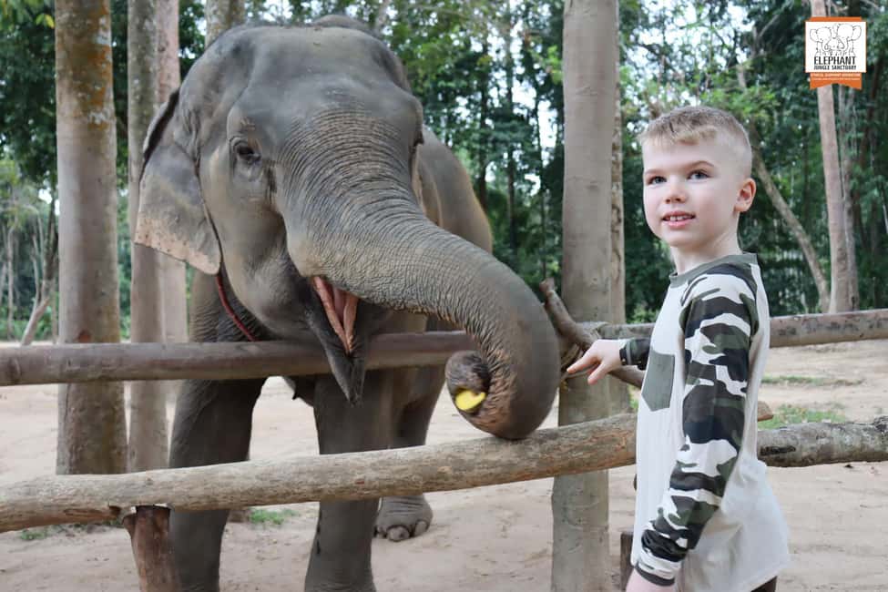billede nr.5 af aktiviteten Koh Samui: Indgang til elefantreservat og fodringsoplevelse i Thailandbugten, uploadet af udbyder