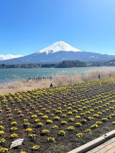 obrázek č.12 aktivity Z Tokia/Jokohamy: Fudži a Hakone Soukromý celodenní výlet v destinaci Hakone, nahraný poskytovatelem aktivity
