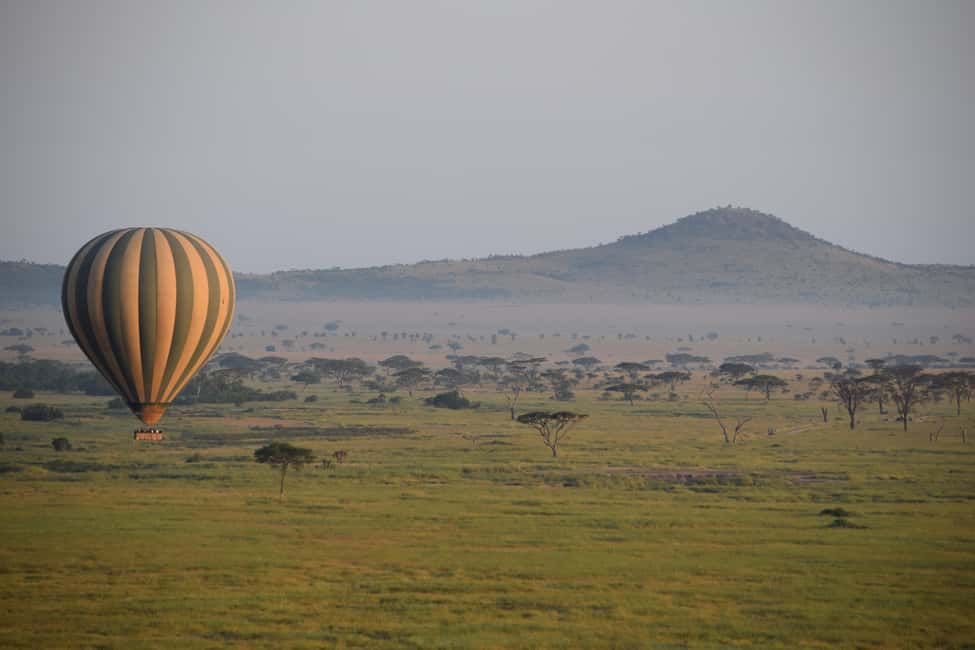 Image N°8 de Parc national du Serengeti : Safari en montgolfière à l'aube activité à Région de Mara, publiée par le prestataire