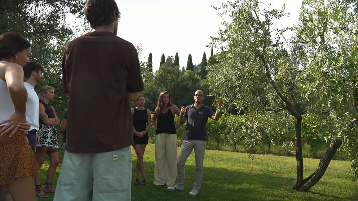 image n.8 of Bardolino: Vineyard Tour with Wine, Olive Oil & Food Tasting activity in Lombardy, uploaded by supplier