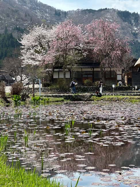 サプライヤーによってアップロードされた、高山の金沢/高山発：白川郷＆高山日帰りツアーの画像#63