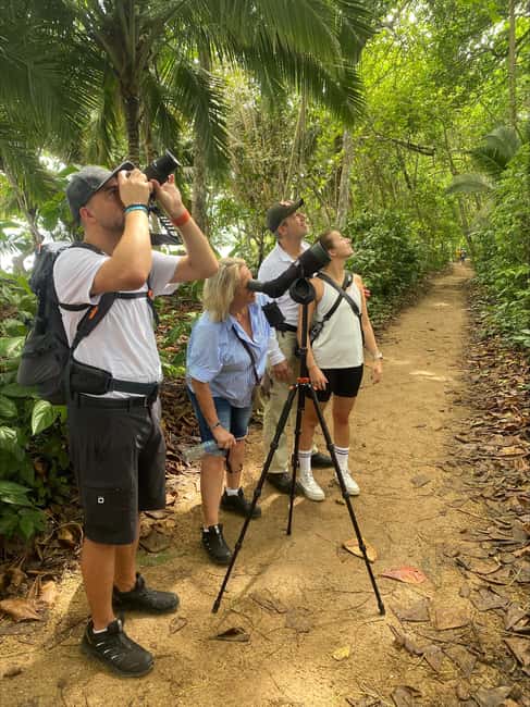 bild nr.8 av Cahuita: Guidad vandring genom Cahuita nationalpark aktivitet i Cahuita, uppladdad av arrangören