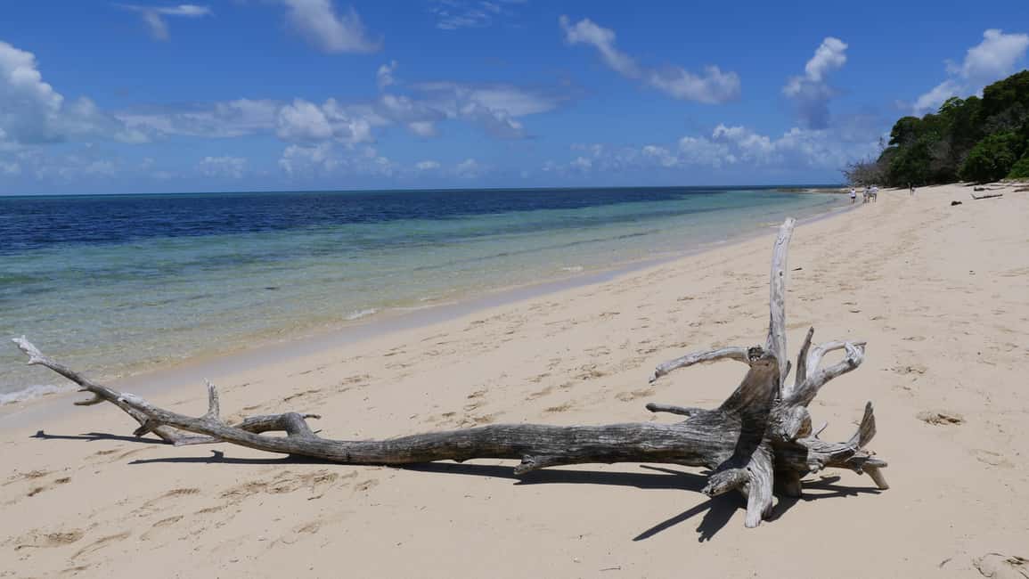 image n.14 of Cairns: Green Island & Great Barrier Reef Sailing Tour activity in Queensland, uploaded by supplier