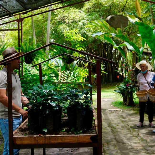 image n.6 of From Bogotá: Coffee Farm and Tequendama Falls Tour activity in Cundinamarca, uploaded by supplier