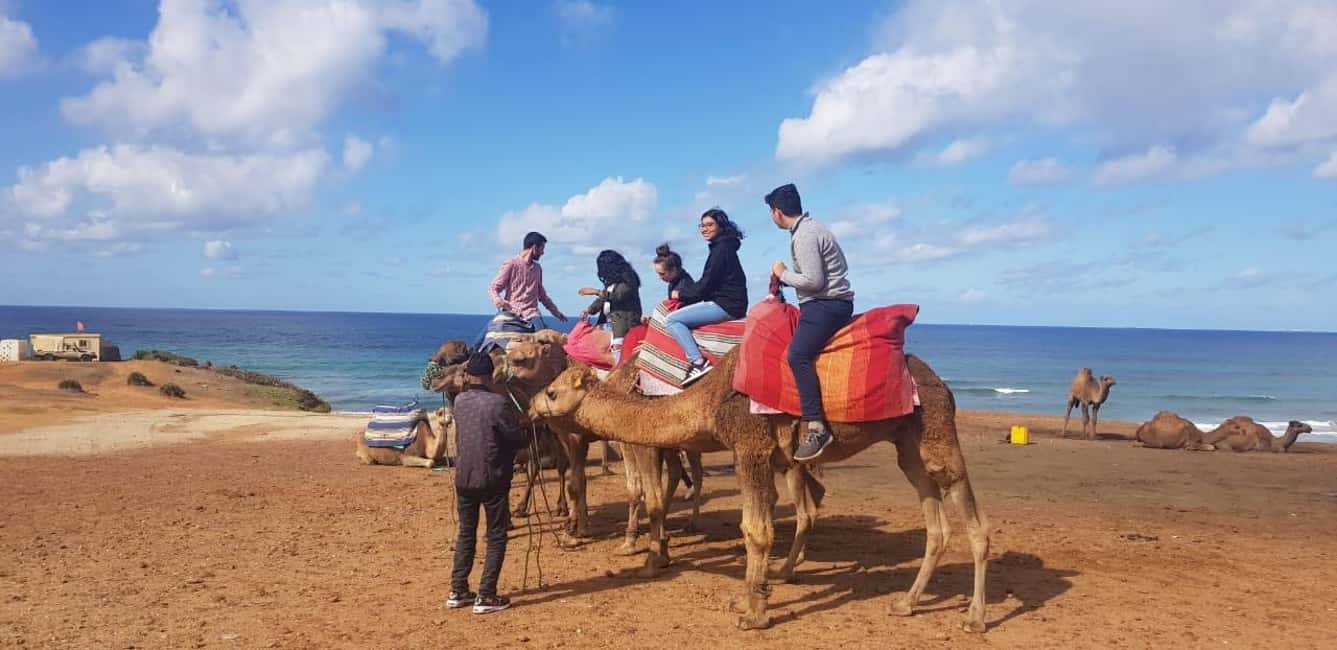 imagem n.12 de De Tânger: Cap Spartel e Gruta de Hércules com passeio de camelo atividade em Tânger, carregada pelo fornecedor