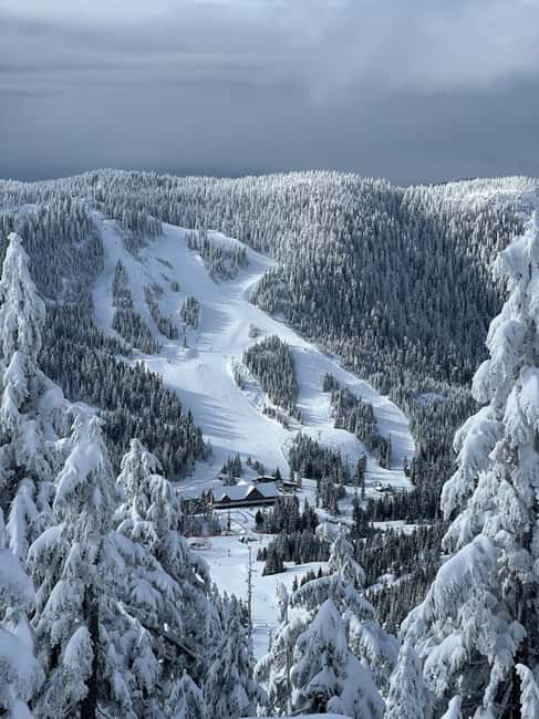 image n.16 of Vancouver: North Shore Mountains Snowshoeing with Transfer activity in West Vancouver, uploaded by supplier