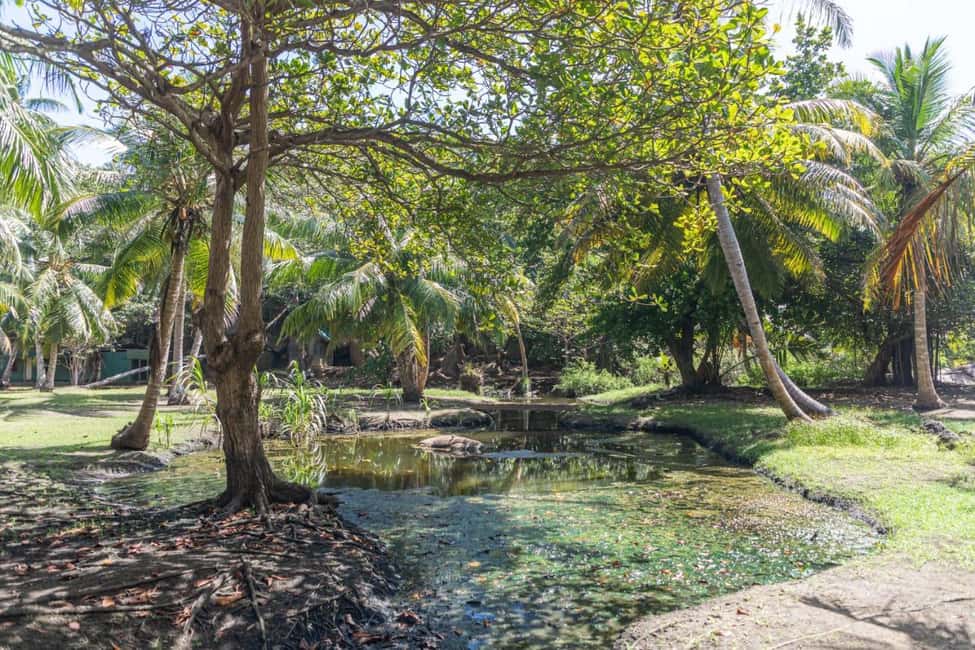 image n.13 of Praslin: Sister & Coco Island Full-Day Cruise and Creole BBQ activity in Mahé, uploaded by supplier