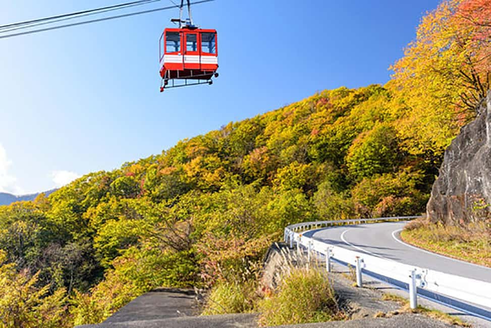Immagine nº 9 di Da Tokyo: tour privato Nikko Nature & Culture Escape attività a Nikkō, caricata dal fornitore