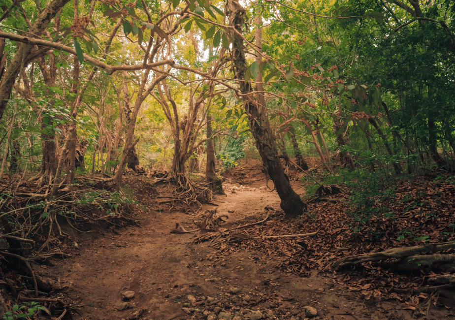 image n.13 of Komodo: 4-Day Private Tour with Overnight Boat and Hotel activity in East Nusa Tenggara, uploaded by supplier