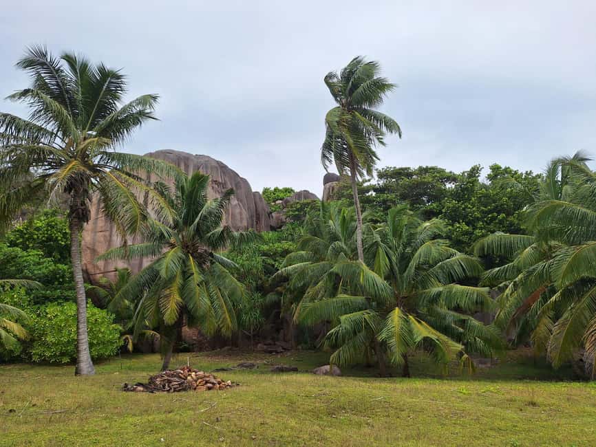 image n.31 of Praslin: Sister & Coco Island Full-Day Cruise and Creole BBQ activity in Mahé, uploaded by supplier
