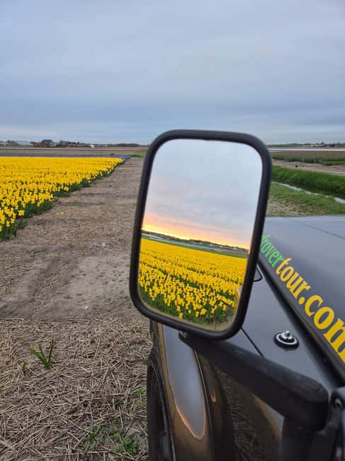 image n.7 of From Lisse: Landrover Tour Around Keukenhof & Flower Fields activity in Lisse, uploaded by supplier