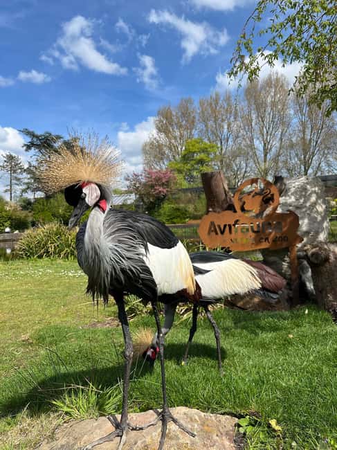 imagen n.º 7 de Alphen aan den Rijn: Entrada al Parque Ornitológico Avifauna actividad en Alphen aan den Rijn, subida por el proveedor
