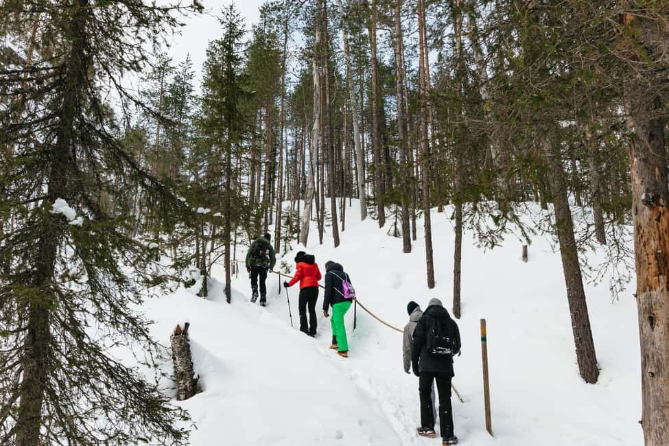 image n.4 of From Rovaniemi: Korouoma Canyon and Frozen Waterfalls Tour activity in Lapland, uploaded by supplier