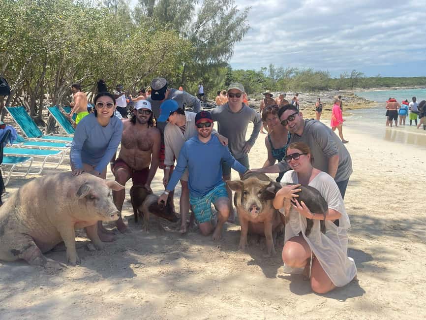 Image N°6 de Nassau : Plongée en apnée, cochons nageurs, tortues et bar de plage activité à Exumas, publiée par le prestataire